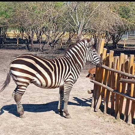 בית נופש Vikendovy Dom Hlboka