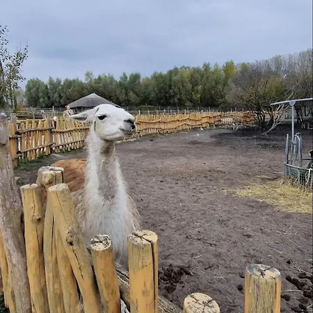 בית נופש Vikendovy Dom Hlboka *