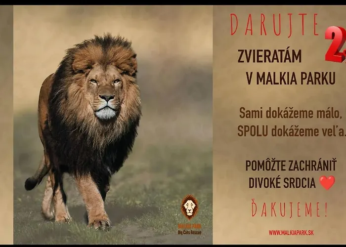 Vikendovy Dom Hlboka 別荘