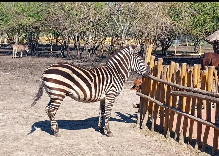 Semesterbostad Vikendovy Dom Hlboka