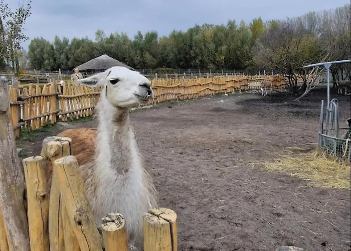 Semesterbostad Vikendovy Dom Hlboka *